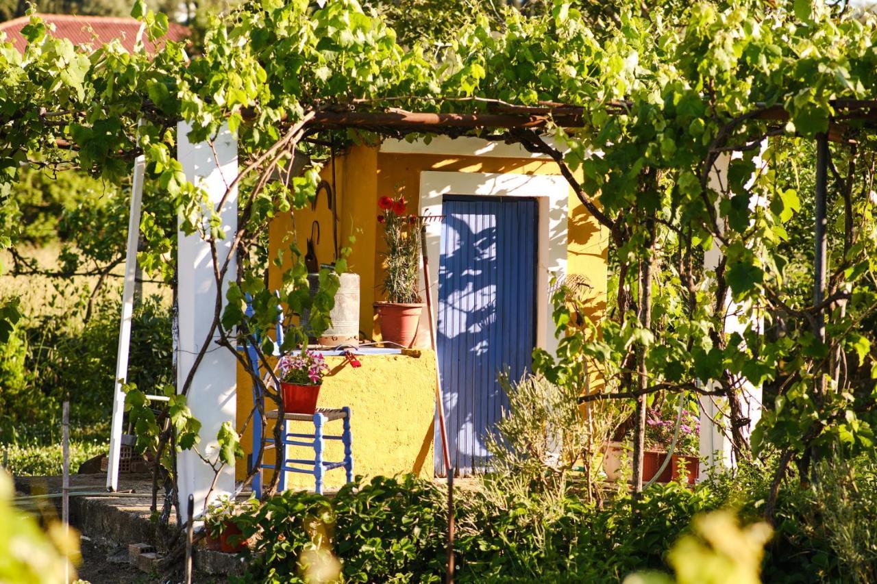 Villa Sandra Litheres ภายนอก รูปภาพ