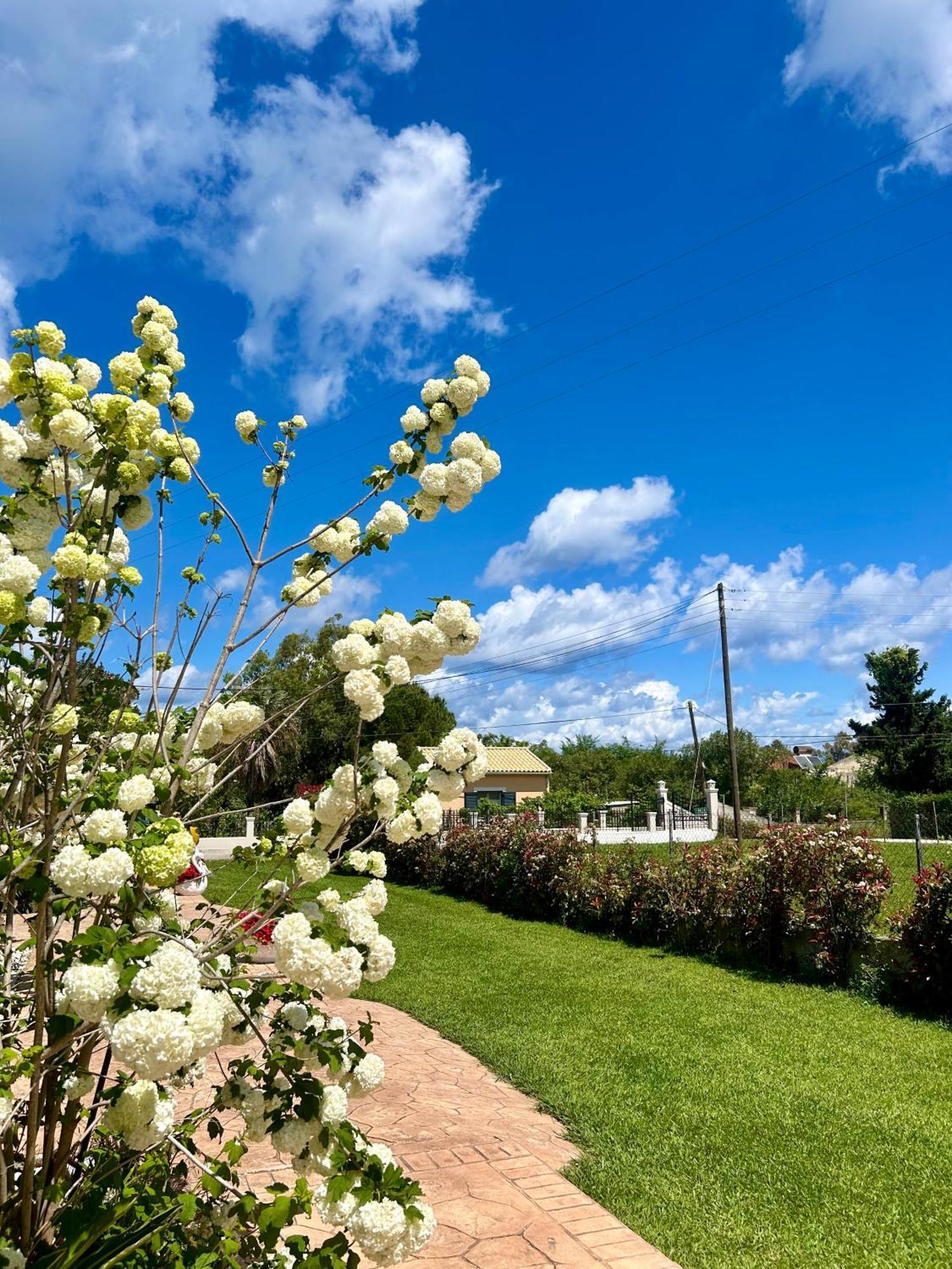 Villa Sandra Litheres ภายนอก รูปภาพ